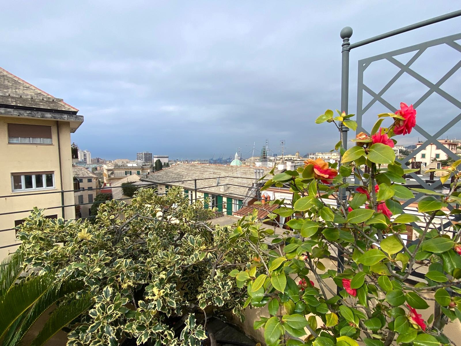 galleryimage